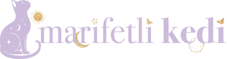 Marifetli Kedi
